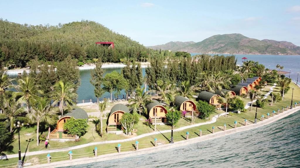 quy nhon